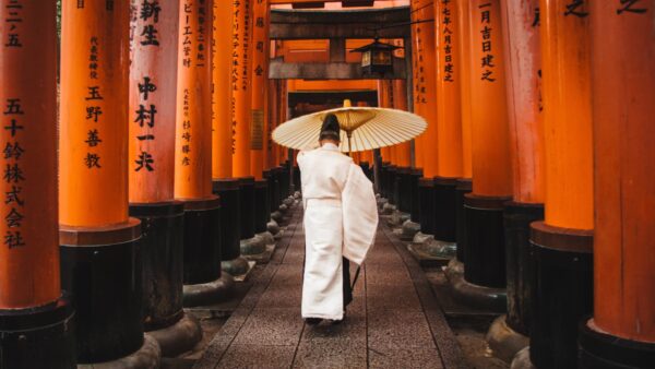 Japon + Corée du Sud : du Mont Fuji à Séoul - Image 5