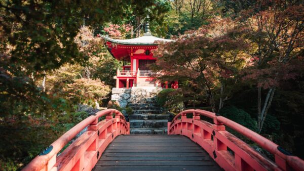 Japon + Corée du Sud : du Mont Fuji à Séoul - Image 8