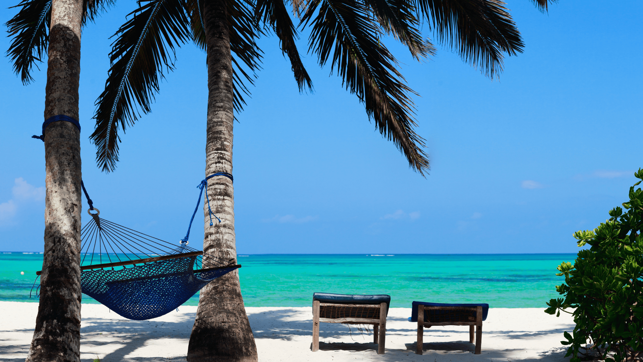 Zanzibar & Tanzanie : Girl trip entre savane sauvage, eaux turquoise et soleil – Image 2
