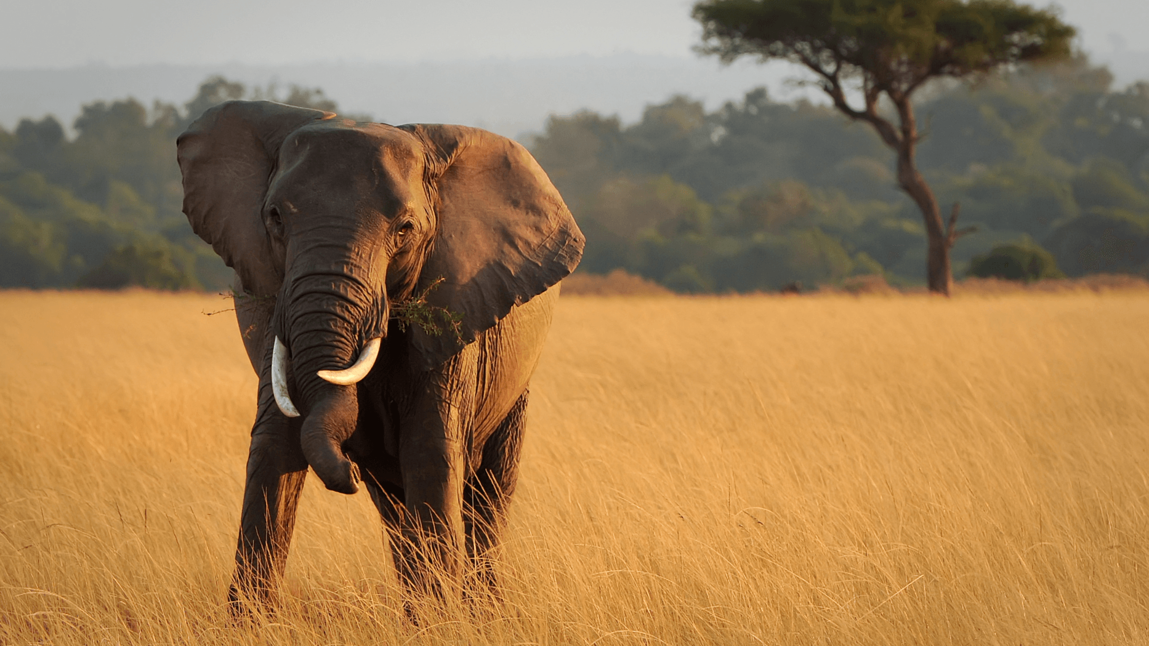 Zanzibar & Tanzanie : Girl trip entre savane sauvage, eaux turquoise et soleil – Image 10