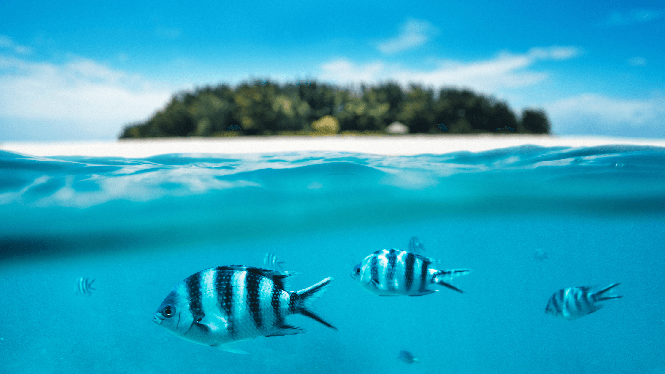 Zanzibar & Tanzanie : Girl trip entre savane sauvage, eaux turquoise et soleil – Image 7